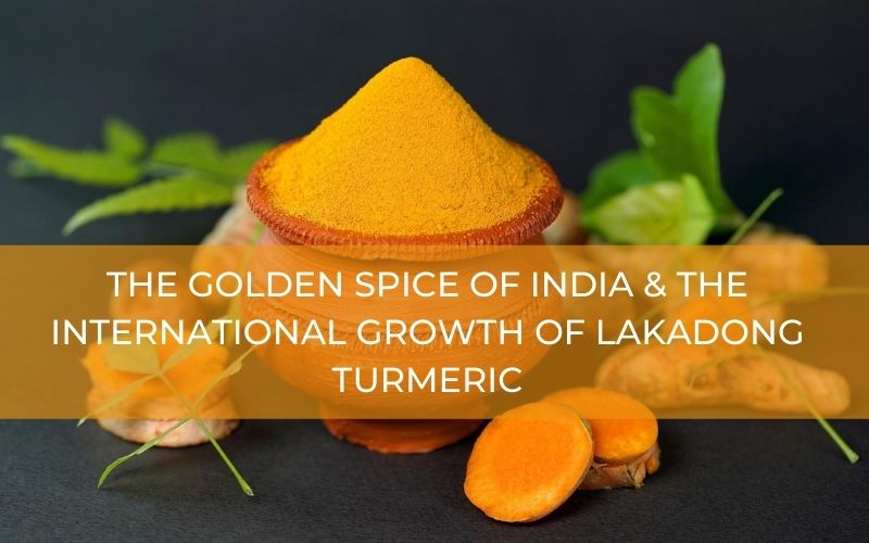 The Golden Spice Of India & The International Growth Of Lakadong Turmeric