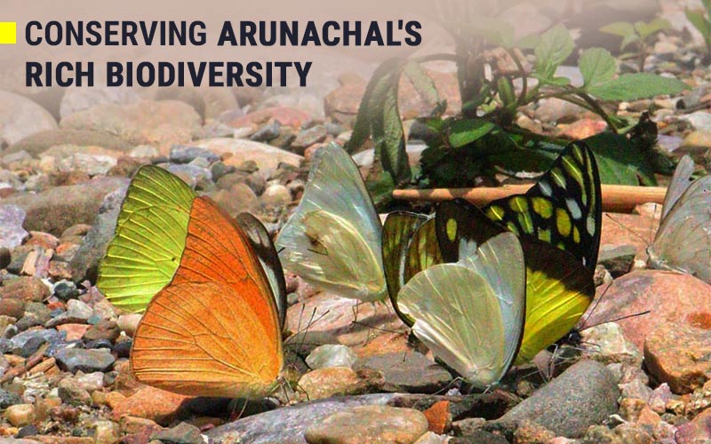 Conserving Arunachal's Rich Biodiversity