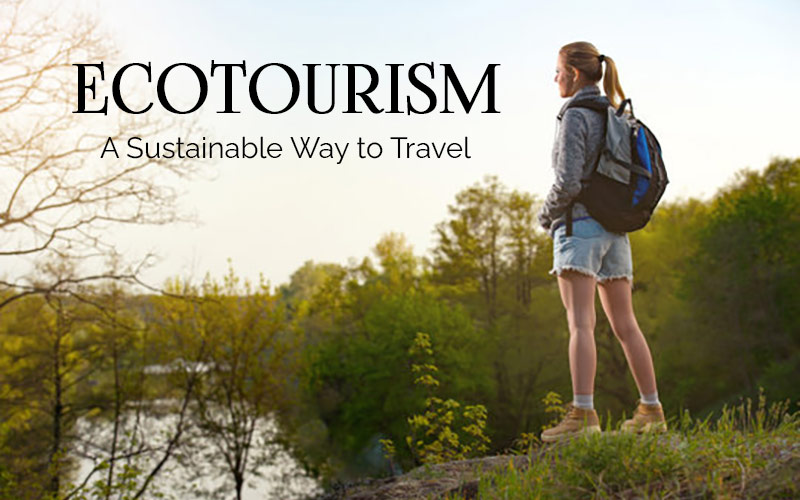 Ecotourism A Sustainable Way To Travel Blog Details