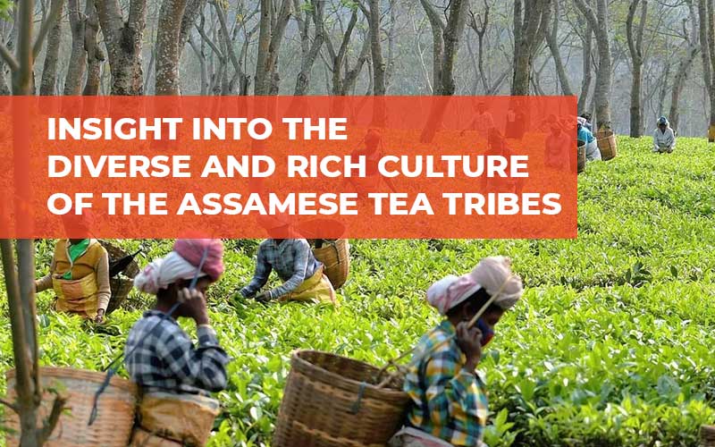 Insight Into The Diverse And Rich Culture Of The Assamese Tea Tribes