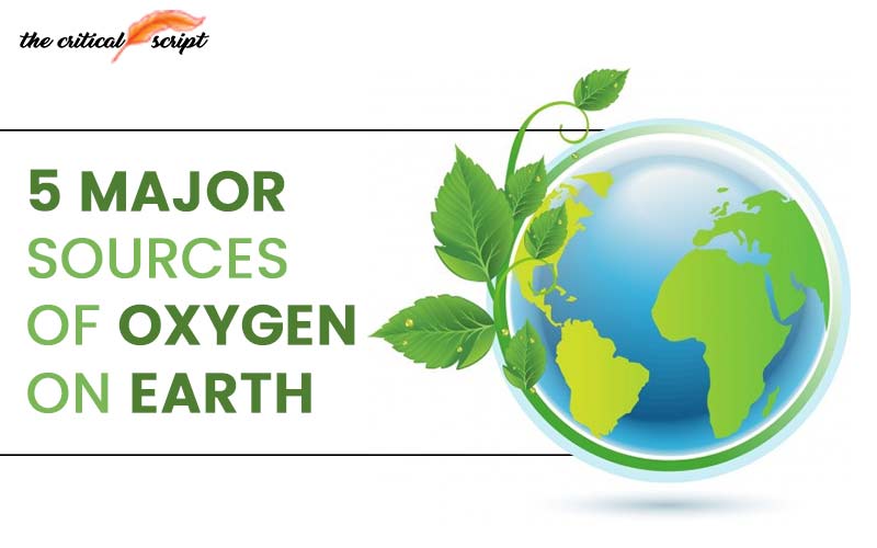 5 Major Sources Of Oxygen On Earth