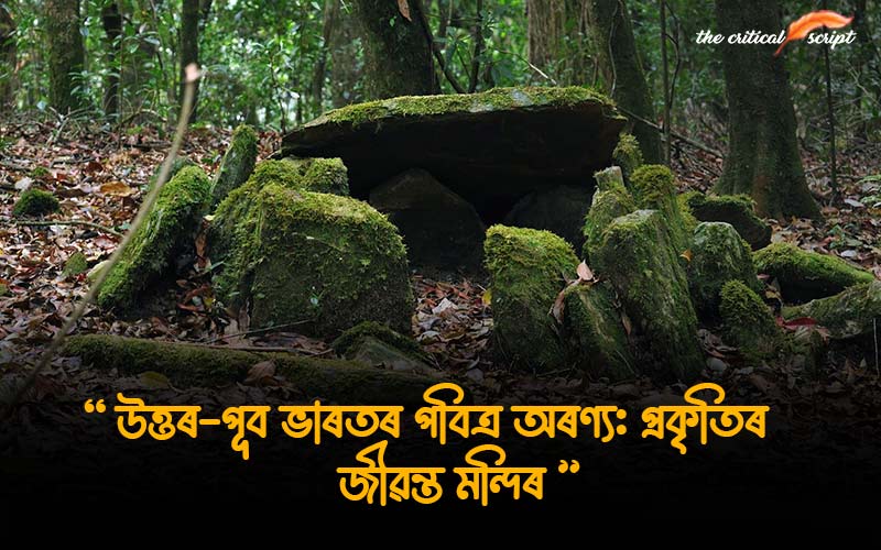 “উত্তৰ-পূব ভাৰতৰ পবিত্ৰ অৰণ্য: প্ৰকৃতিৰ জীৱন্ত মন্দিৰ”