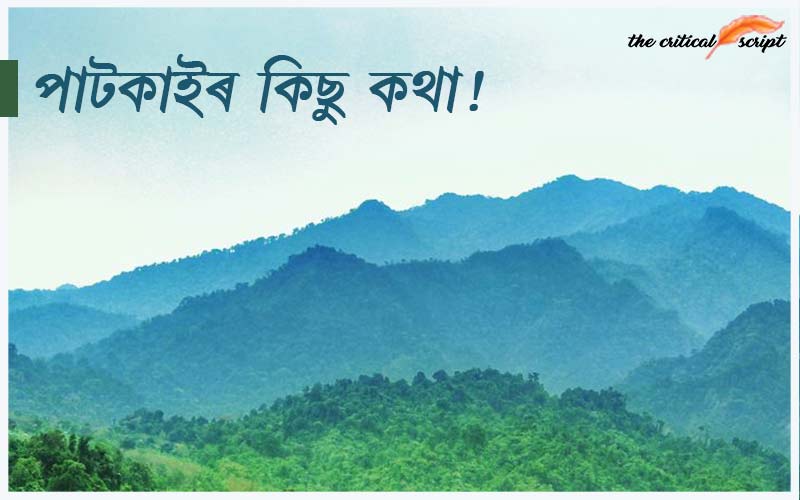 পাটকাইৰ কিছু কথা!