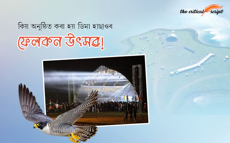 কিয় অনুষ্ঠিত কৰা হয় ডিমা হাছাওৰ ফেলকন উৎসৱ!